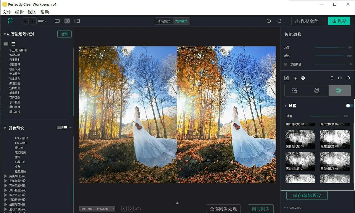 专业图像校正增强工具 Perfectly Clear WorkBench v5.0.1.3052 绿色便携版-图片5
