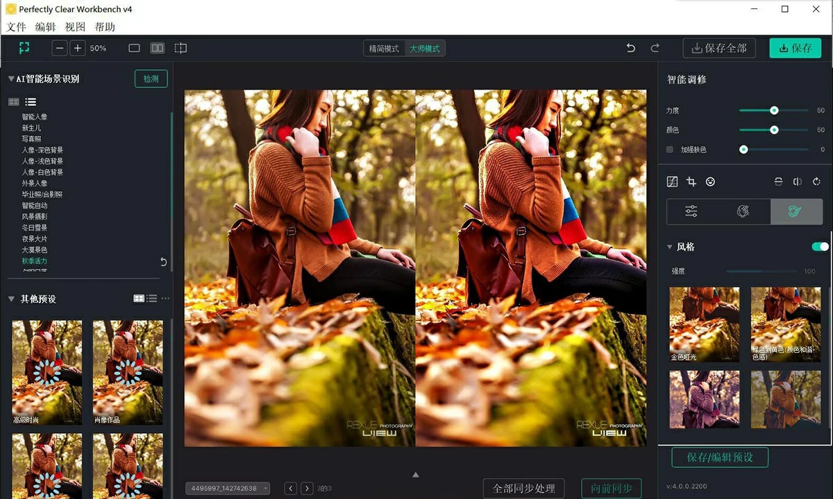 专业图像校正增强工具 Perfectly Clear WorkBench v5.0.1.3052 绿色便携版-图片6