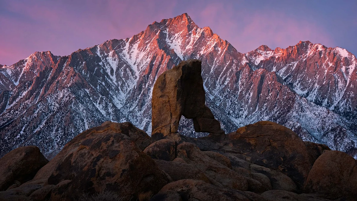 图片降噪 Topaz Photo Pro v1.2.1 x64 正式版绿色便携版-图片6