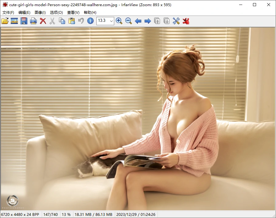 图像查看器 IrfanView v4.75 中文绿色便携全功能版-图片1